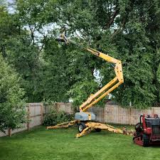 Lawn Pest Prevention in Laupahoehoe, HI